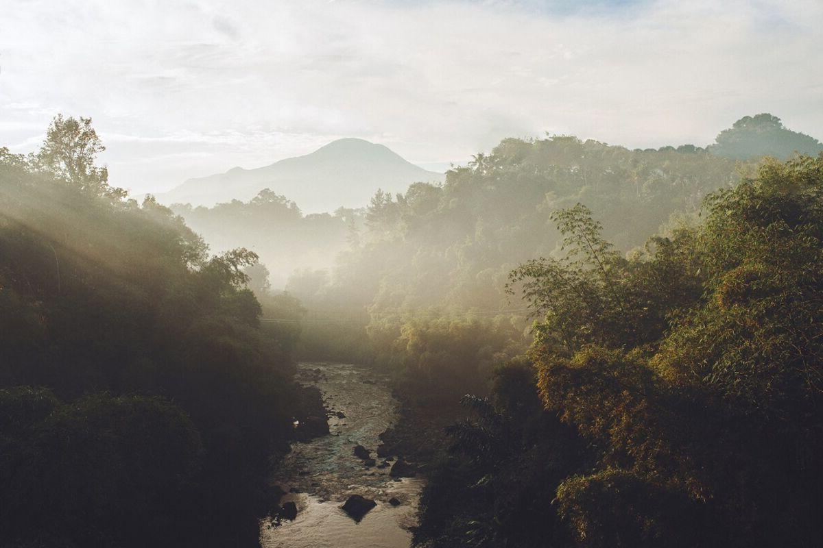 雾笼罩着河流和树木，背景是山